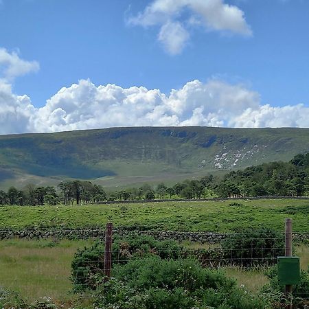 ホテル Oakwood Glamping Mourne Mountains Moyad エクステリア 写真